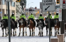 Ottawa : "Konwój wolności" ludzie zostali stratowani przez policję konną