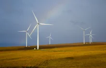 Farmy wiatrowe dostają pieniądze za nieprodukowanie nawet 50% energii