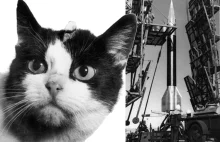Niezwykła historia Félicette, pierwszej i jedynej kotki w kosmosie