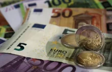 Kiedy najlepiej wymienić euro na złotówki? Kiedy sprzedawać euro?