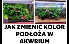 Zmiana koloru podłoza w akwarium bez restartu.