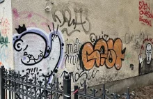 Coraz więcej graffiti w Sopocie. "Żal patrzeć na tak dewastowane miasto!"