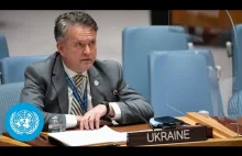Ukraine - Security Council, 8970th meeting