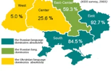 Większość w mniejszości