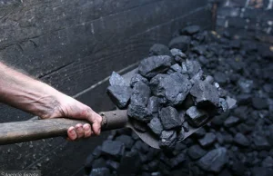 Polska aż 60-70 proc. węgla sprowadza z Rosji.