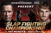 Punchdown od teraz w USA. Zmienia nazwę na Slap Fighting Championship