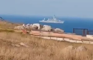 Filmik nagrany przez Ukraińców na Wyspie Żmijowej, chwilę przed ostrzałem