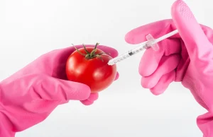 Bioaktywny spray zamiast GMO. Tak naukowcy zamierzają zrewolucjonizować uprawy