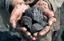 Inwestorzy pokochali polski węgiel po sankcjach na Rosję