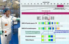 Scientists find genetic match between Covid and Moderna 2016 patent