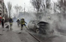 Tragiczne wieści z Mariupola. MSW: Odnotowano zbrodnię wojenną