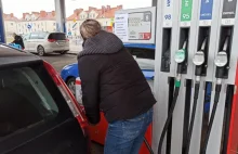 Tak wyglądają ceny paliw na stacjach w Grudziądzu. Ile trzeba zapłacić za...