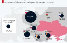 Infographic: Where Ukrainian Refugees Are Fleeing to