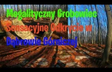 Megalityczny Grobowiec Sensacyjne Odkrycie w Dąbrowie Górniczej