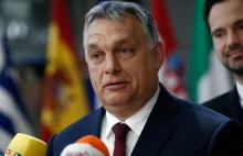 Orban tłumaczy Putina, wszystkiemu winna Polska?