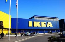 IKEA zwija się z Rosji. A Rosjanie... szturmują sklep w panice