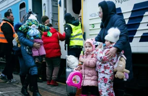 Oszustwa przy granicy? "Będziemy zwalczać cwaniactwo"