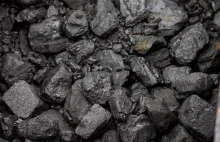 Greenpeace: Chcemy, żeby Polska wyszła z węgla do 2030 roku, ale nie wiemy jak