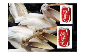 Coca Cola NIE wycofała się z Rosji.