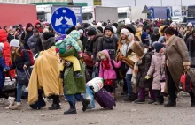 Holandia nie przyjmie uchodźców z Ukrainy