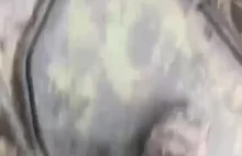 Rosyjscy żołnierze ze strachu zamkneli się wewnątrz BMP