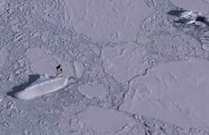 Dziwny „statek” na Antarktydzie na zdjęciach Google Earth: co to jest i...