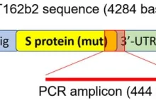 Wsteczna transkrypcja Pfizer BioNTech COVID-19 mRNA do DNA w wątrobie!!!