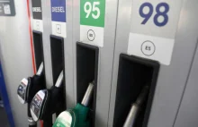 Właściciele małych stacji kupują paliwa na Lotosie, bo taniej niż w hurcie