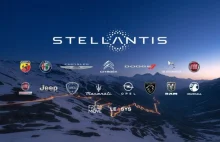 Stellantis wstrzymuje sprzedaż do Rosji