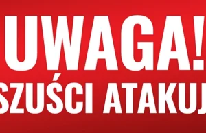 Chciałbym ukrócić pewne sku*wysyństwo, które może...