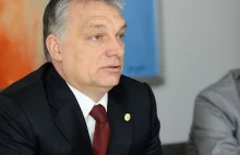 Prof. Grzegorz Górski: Zostawcie Orbana w spokoju XD