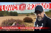 Pustynia Kozłowska – kraina wrzosów i wydm