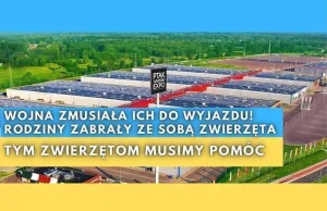 Pomagamy zwierzakom z Ukrainy w największym centrum pomocy - PTAK WARSAW...