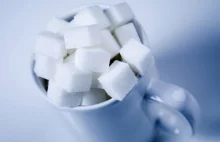 Rosja zakazuje eksportu cukru. Ogranicza też możliwość wywozu zbóż