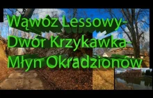 Wąwóz Lessowy- Dwór Krzykawka- Młyn Okradzionów Przyroda Historia