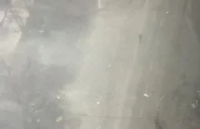 Okrutne nagranie zabójstwa mieszkańca Mariupola przez rosyjski czołg
