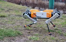 MAB Robotics - Honey Badger legged robot