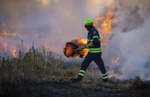 Sezon na wypalanie traw. Nielegalny proceder wciąż w modzie!