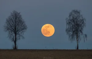 Wiosna nadchodzi. Zobacz jej kolory na fotografiach Witolda Ochała [ZDJĘCIA