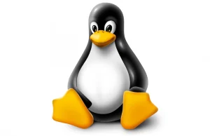 Linux 5.17 już jest – ważne komponenty przyśpieszyły o 25%