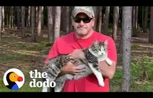 Cat Becomes Totally Obsessed With His 'Dog Person' Dad | The Dodo Soulmates