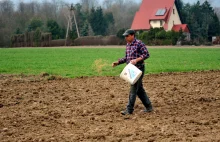 W Polsce szykują się wielkie siewy. W obliczu wojny Bruksela pozwala...