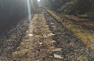 Ktoś ukradł szyny i podkłady z 400-metrowego odcinka trasy kolejowej