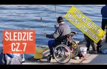 Pan na wózku inwalidzkim twardy zawodnik - śledzie (24.3.2022)