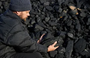 Polacy płacą, płaczą i kupują węgiel na zapas. "Nie czekają, aż będzie...