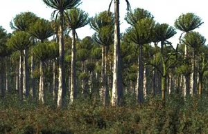 Jak doszło do powstania roślin drzewiastych i tworzonych przez nie lasów?