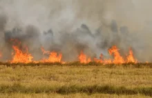 345 pożarów w Mołdawii w ciągu doby. Wszczęto śledztwo