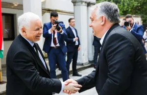 Rząd PiS zamraża kontakty z Orbánem. Bo węgierski premier wspiera Putina
