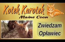 Kotek #Karotek zwiedza Opławiec