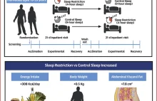 Niedostatek snu sprawia, że ludzie jedzą więcej [EN]